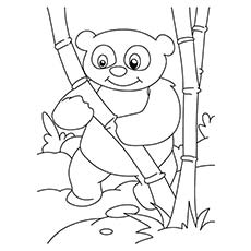 panda bear standing coloring page