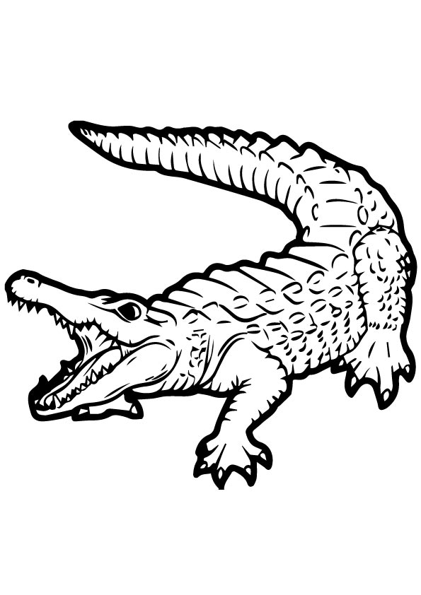 A-Scary-Alligator-Coloring-Pages