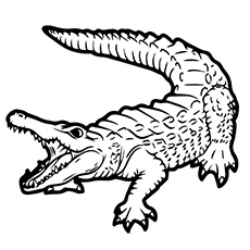 A Scary Alligator coloring page