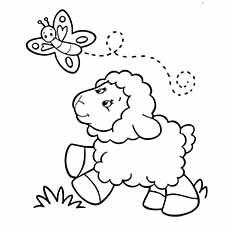 Sheep and butterfly coloring page