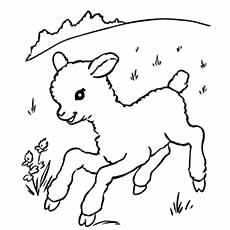 Running sheep coloring page