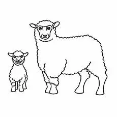 Sheep coloring small page_image
