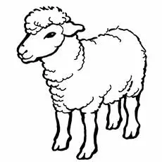 coloring page of big sheep_image