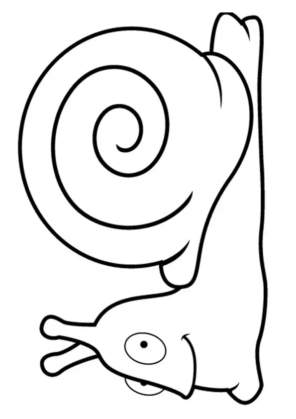 A-Snail-In-The-Shell