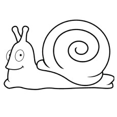 Snail in shell coloring page