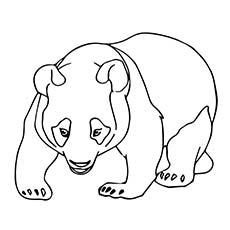 A cute panda bear coloring page