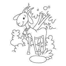 Goat under the tree coloring page