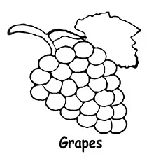 Inspirational Grapes coloring page
