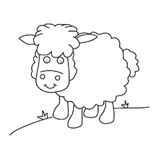 Sheep Planse Coloring page_image