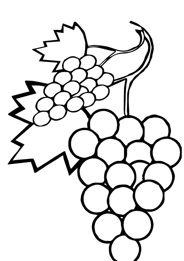 A-sweet-grapes-coloring-pages