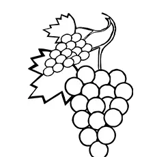 Sweet Grapes coloring page