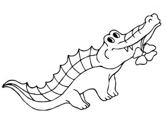 Top 25 Alligator Coloring Pages Your Toddler Will Love To Color