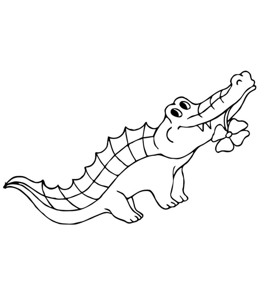 Free Printable Alligator Coloring Pages For Kids Sketch Coloring Page