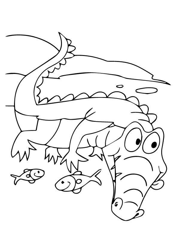 Alligator-coloring-fish
