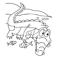 Alligator coloring page Of Fish