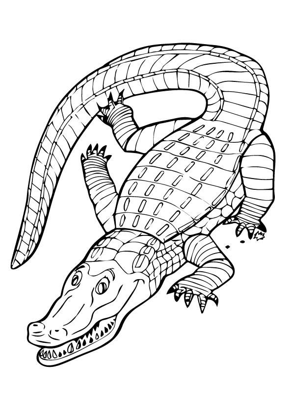 Animals-Alligator-Coloring-Page