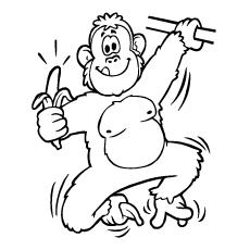 Ape eating banana coloring page