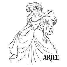 Ariel-16