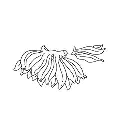 Bananas coloring page