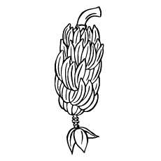 Bananas bunch and flower coloring page