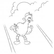 Big Bird Wearing Cap Coloring Page