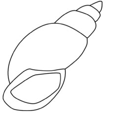 Coloring page of blowing shell