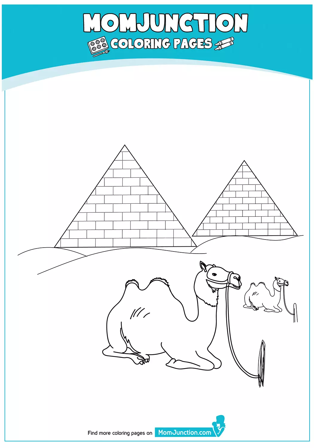 Camel-Infront-Of-Pyramid-17