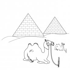 骆驼金字塔前面的着色页