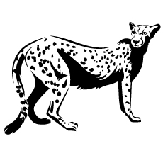 Cheetah Outline coloring Page