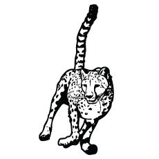 Cheetah Running coloring page