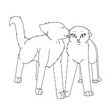 warrior cats couples coloring pages