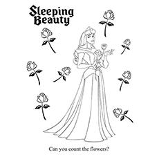 Count-The-Flowers-Sleeping-Beauty-16