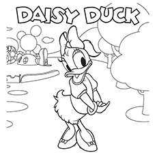 Daisy Duck 16