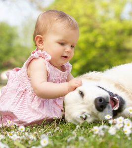 Dog Allergy In Babies: Symptoms, Causes, Treatment And Prevention