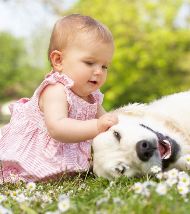 Dog Allergy In Babies: Symptoms, Causes And Treatment