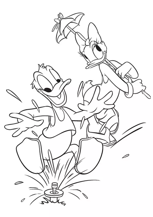 Donald-And-Daisy-16