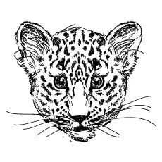 Drawn Cheetah coloring page