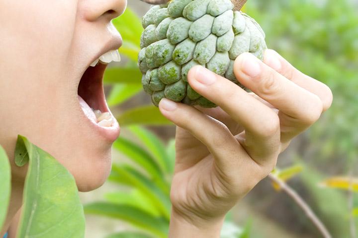 Image result for Benefits of eating Custard Apple