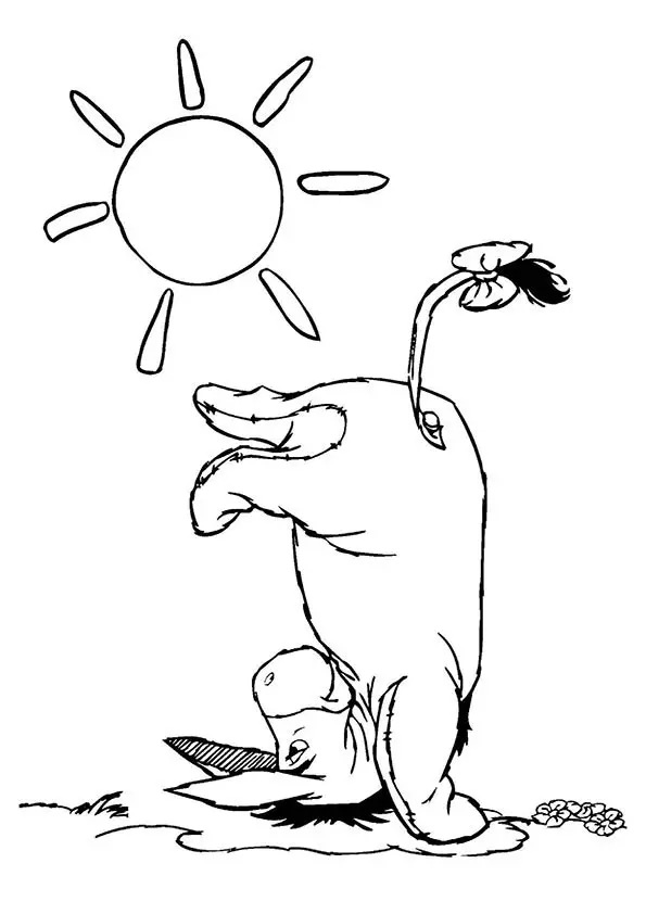 Eyeore-16