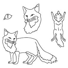 Download Top 25 Free Printable Fox Coloring Pages Online