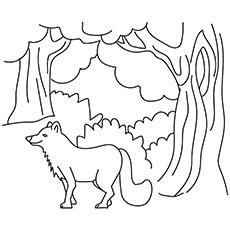 Fox-In-Forest-16 for coloring pages