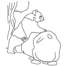 Giant Panda Bear coloring page