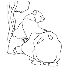Giant Panda Bear coloring page