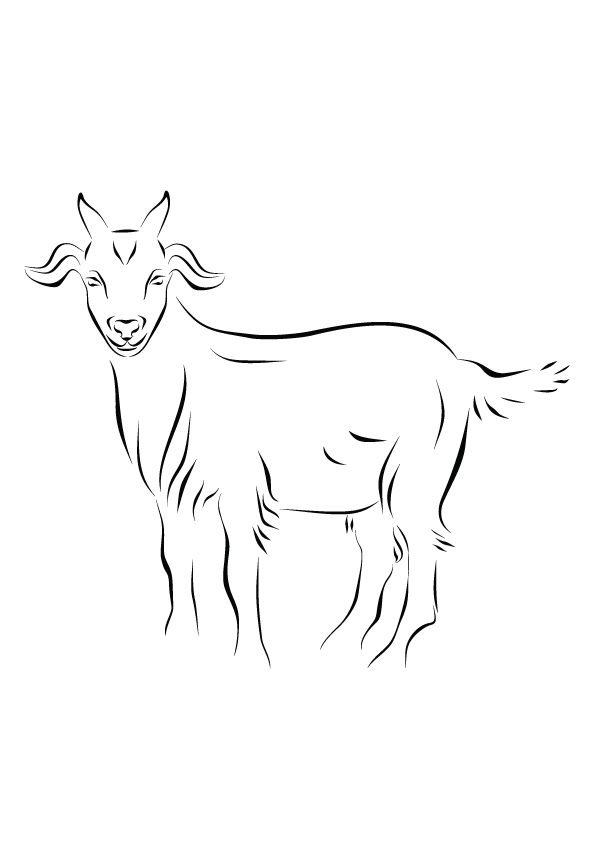 Goat-ink-line-art