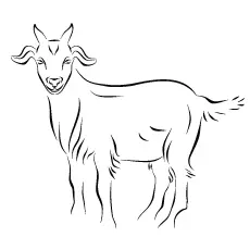 Goat ink art coloring page