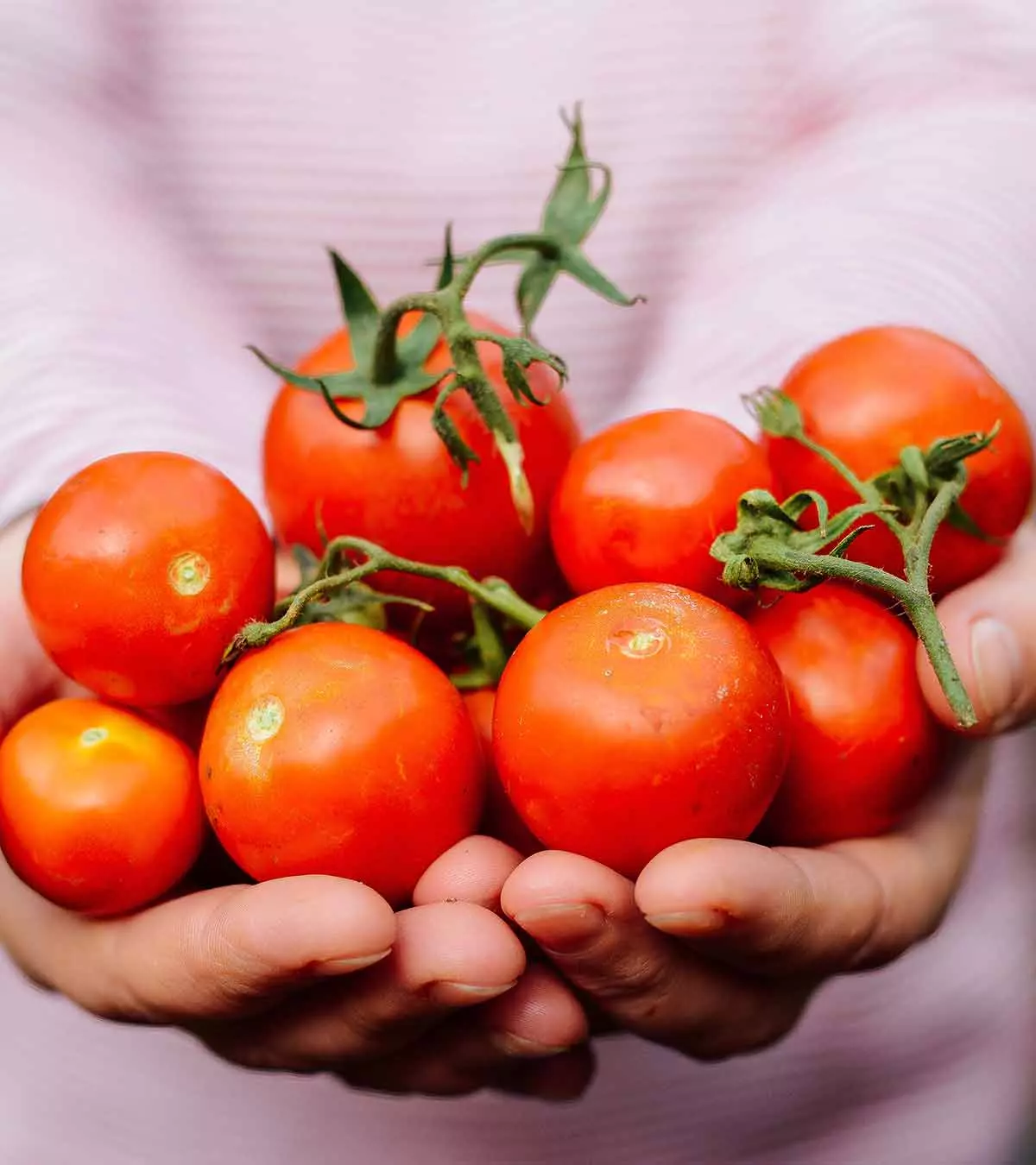 Tomatoes During Pregnancy: Possible Benefits And Risks