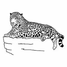 Jaguar Laying coloring page