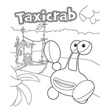 Jungle-Junctions-Taxicrab-16