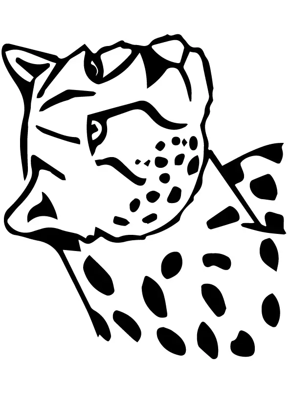 Leopardtoprint