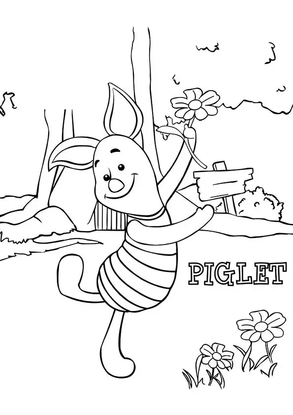 Piglet-16